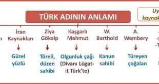 Türk Adının Anlamı ve Kökeni Özet
